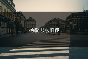 杨敏思水浒传
