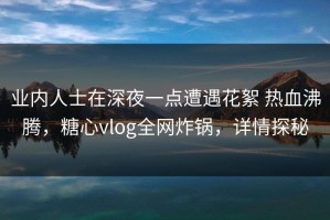 业内人士在深夜一点遭遇花絮 热血沸腾，糖心vlog全网炸锅，详情探秘