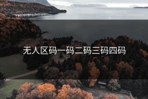 无人区码一码二码三码四码