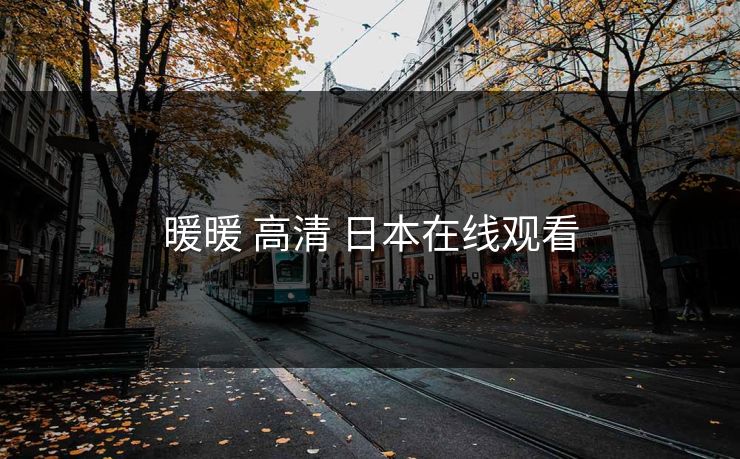 暖暖 高清 日本在线观看