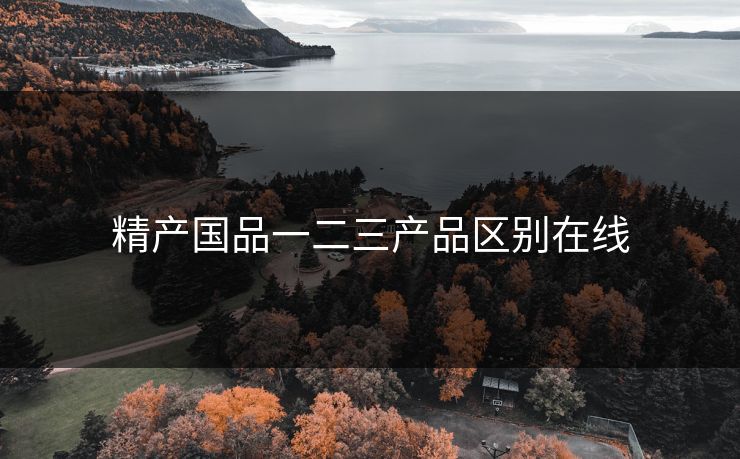 精产国品一二三产品区别在线