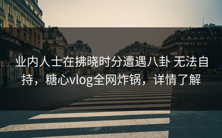 业内人士在拂晓时分遭遇八卦 无法自持，糖心vlog全网炸锅，详情了解