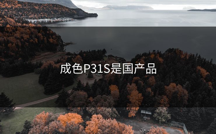 成色P31S是国产品