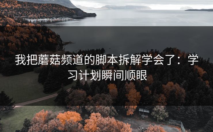 我把蘑菇频道的脚本拆解学会了：学习计划瞬间顺眼
