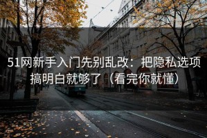 51网新手入门先别乱改：把隐私选项搞明白就够了（看完你就懂）