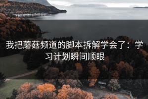 我把蘑菇频道的脚本拆解学会了：学习计划瞬间顺眼