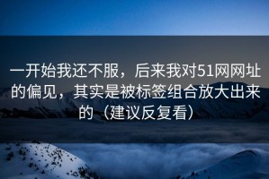 一开始我还不服，后来我对51网网址的偏见，其实是被标签组合放大出来的（建议反复看）