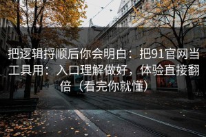 把逻辑捋顺后你会明白：把91官网当工具用：入口理解做好，体验直接翻倍（看完你就懂）