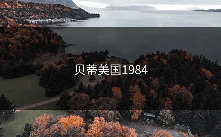 贝蒂美国1984 贝蒂美国1984
