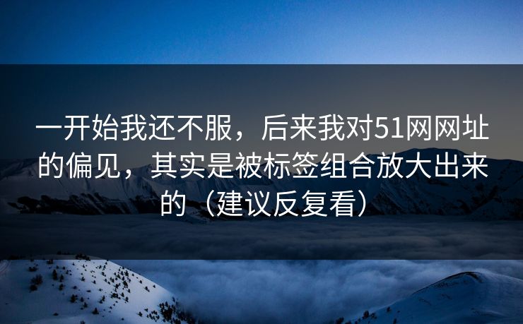 一开始我还不服，后来我对51网网址的偏见，其实是被标签组合放大出来的（建议反复看）